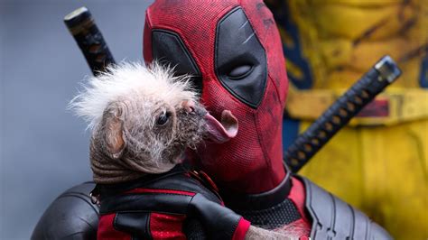 javlibrary deadpool|About deadpool .